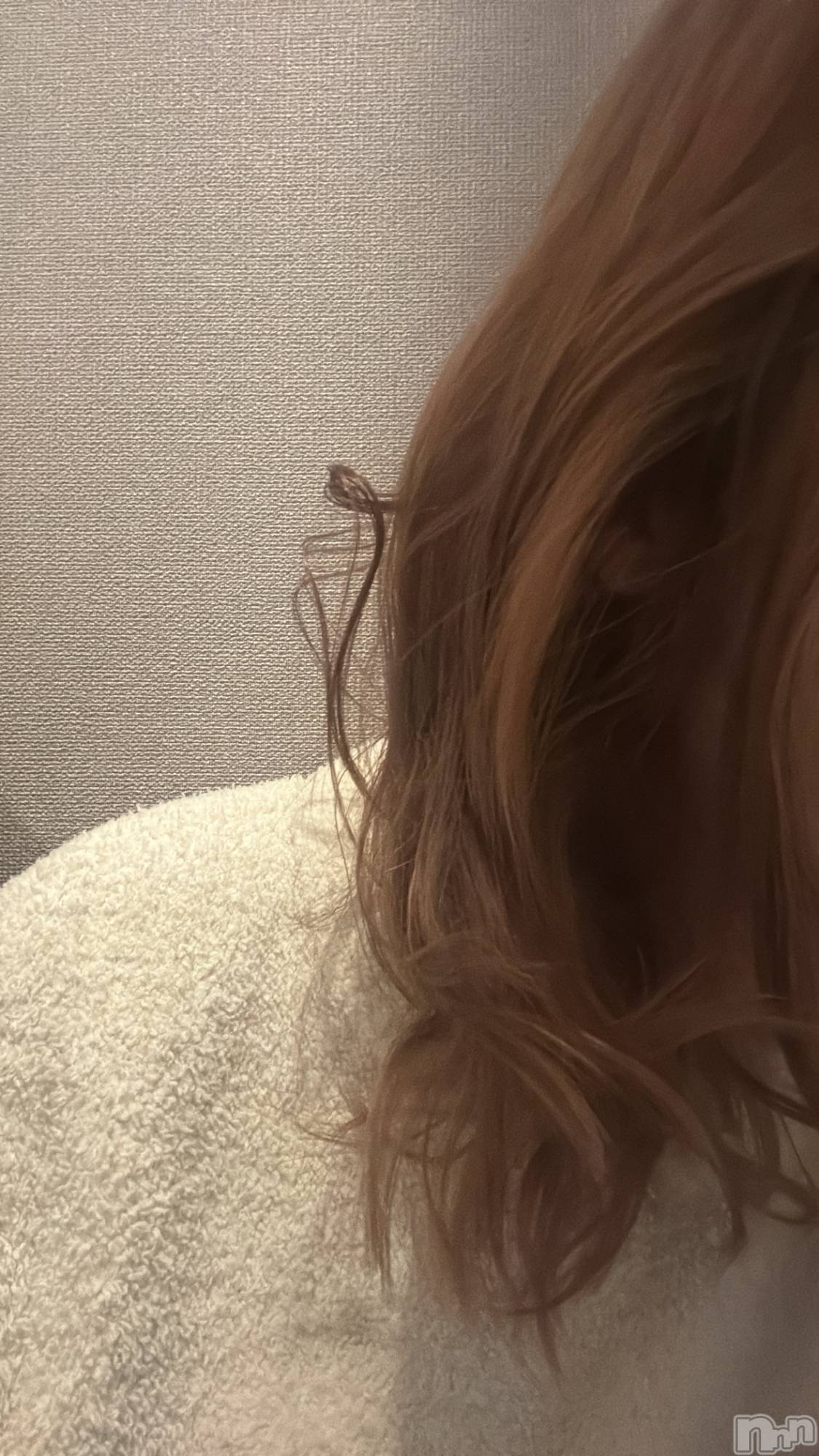 ��Į����Х��顦�����V-niigata-(�֥��˥�����) ��2026ǯ3��13���̥�֥����֤��뤯��ʻһ��ޤ�ޤ���🐣��