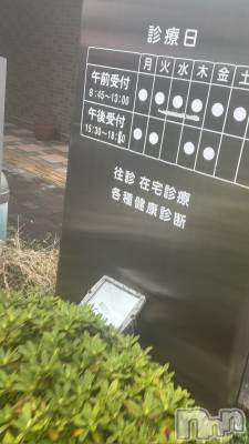 ��Į����Х��顦�����V-niigata-(�֥��˥�����) ���ʤ�4��3���̥�֥����������������󤷤���😖��