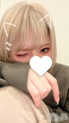 新潟ギャラ飲み 今すぐ乾杯【ギャラ飲み】新潟コンパ(イマスグカンパイギャラノミニイガタコンパ) つぐみ(27)の3月25日写メブログ「猫系女子はお好きですか？🐱」