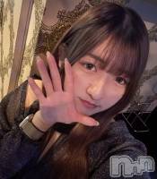 ����ȯ����ѥ˥��󥯥�ֿ��㥳��� -���㥳��ѥ˥��󥯥��-(�˥���������� -�˥���������ѥ˥��󥯥��-) �����(21)��1��24���̥�֥�����Fain�жС�