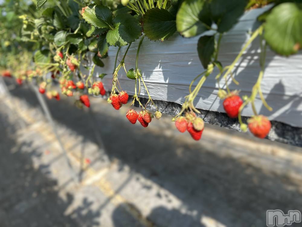 ���ᥭ��Х��顦�����CLUB ASLI(����֥�����) ������3��21���̥�֥����ֽж�✨��