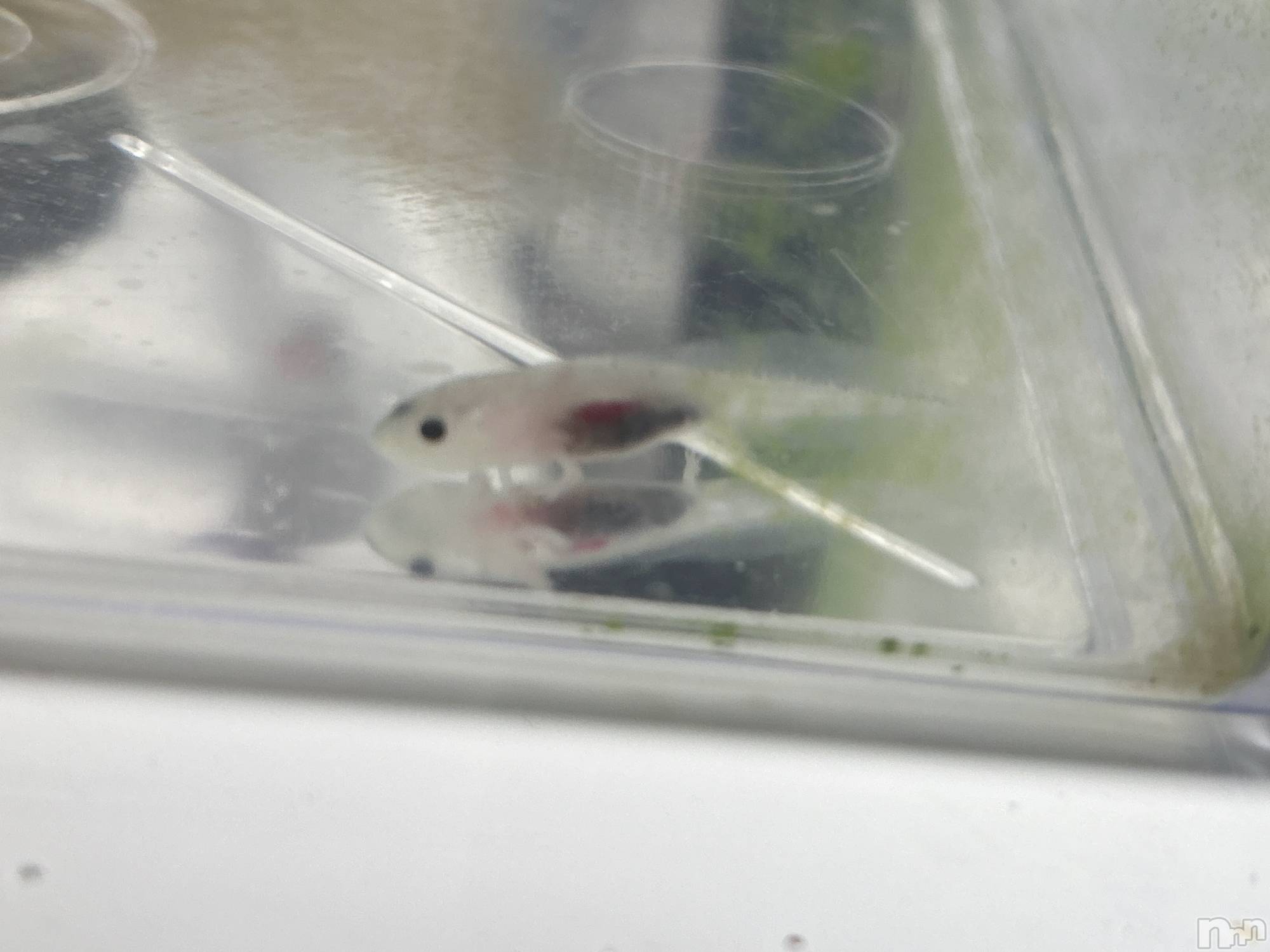 ���ᥭ��Х��顦�����CLUB ASLI(����֥�����) ��2026ǯ2��10���̥�֥����ֺ�����жС���