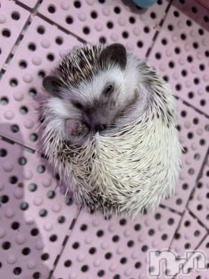 ���ᥭ��Х��顦�����CLUB ASLI(����֥�����) ������1��24���̥�֥����ֺ�����жФ���✨��