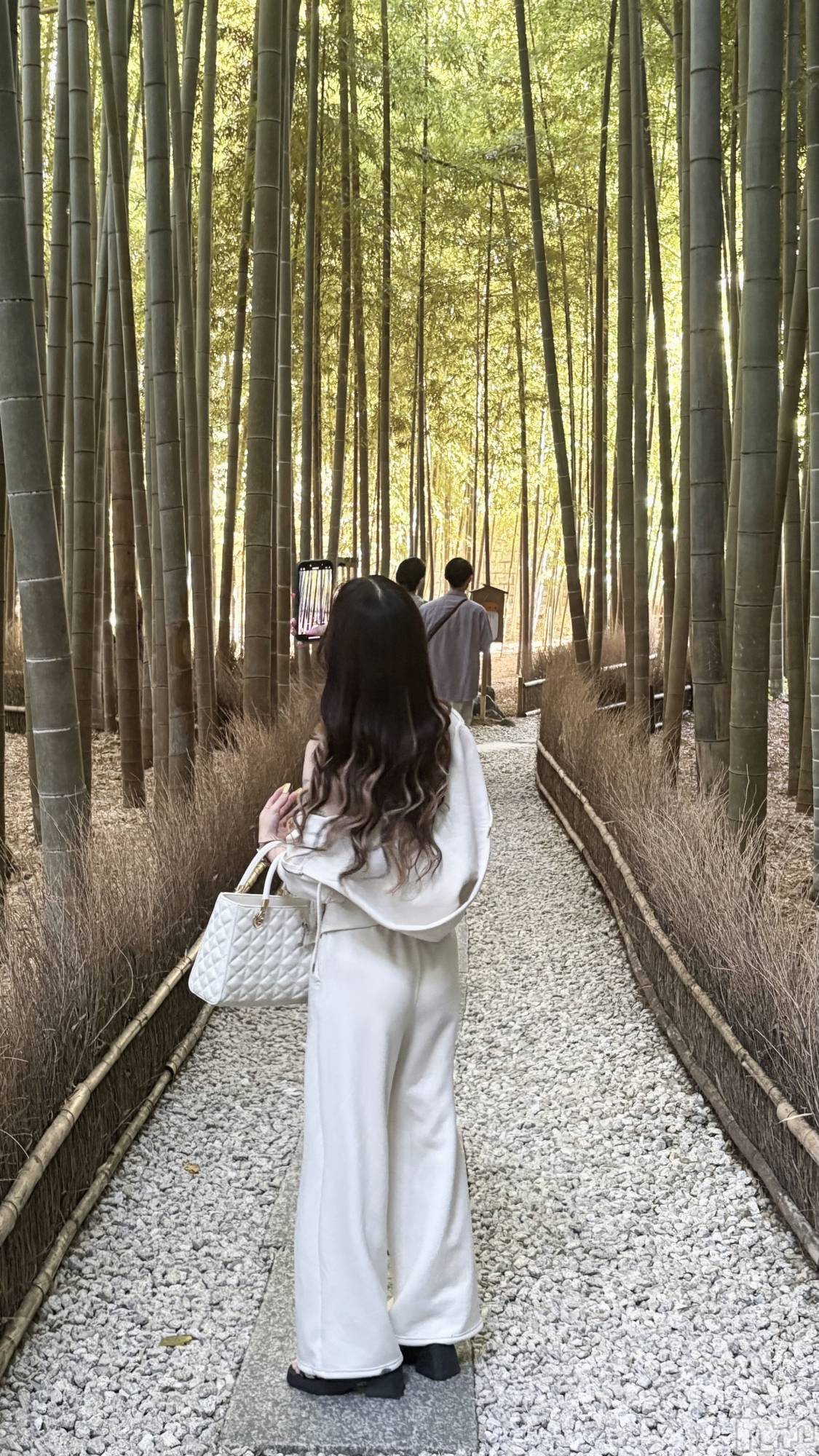 �����������Х��顦�����Armada(����ޡ���) ��2026ǯ2��4���̥�֥����֤⤦����💭��