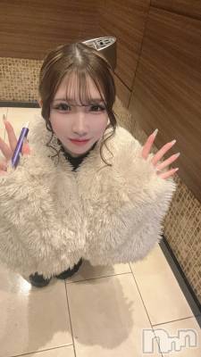 �����������Х��顦�����Armada(����ޡ���) �밦��2��6���̥�֥����֤ʤ��ưʪ����🦭��