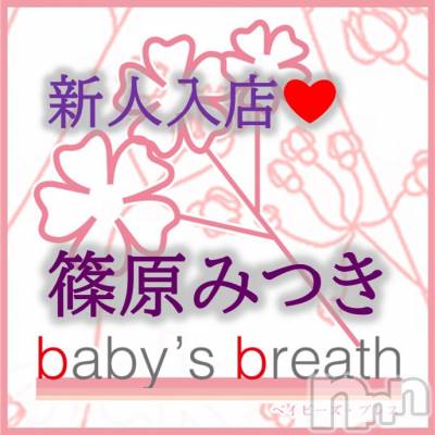 篠原みつき【新人】(ヒミツ) スリーサイズB().W.H。新潟メンズエステ baby's breath(ベイビーズブレス)在籍。