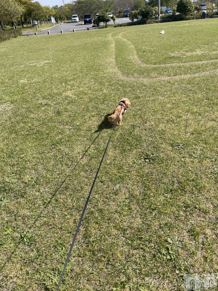 ����������ʥå��������륺�С����饪���ϥ��ܡ���bar���ͻ���(���饪���ϥ��ܡ���С��ӥ��󥷥ޥ�) �Ϥ�ʤ�4��27���̥�֥�����4��27�� 19��53ʬ�Υ֥�����