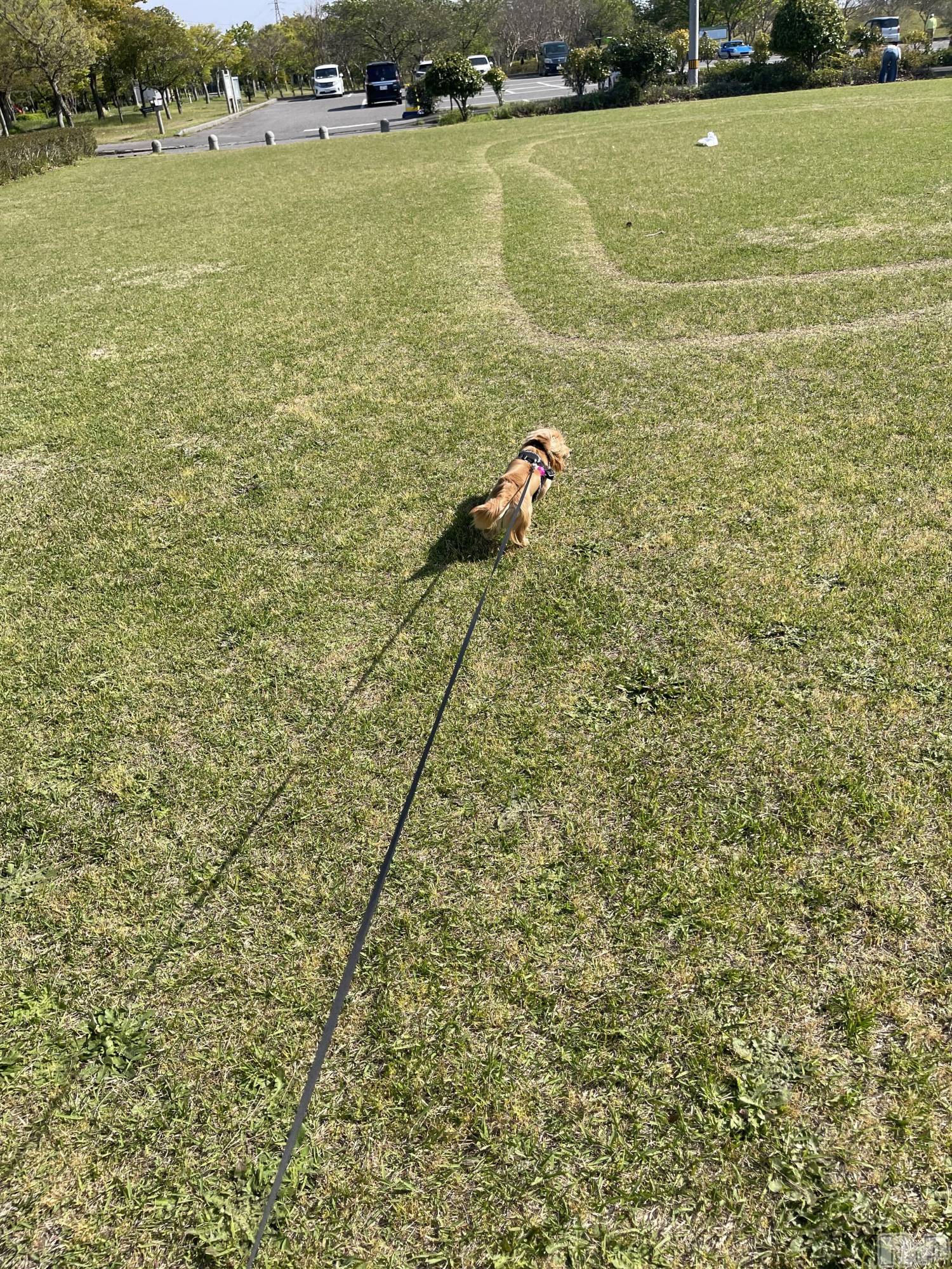 ����������ʥå��������륺�С����饪���ϥ��ܡ���bar���ͻ���(���饪���ϥ��ܡ���С��ӥ��󥷥ޥ�) ��2026ǯ4��27���̥�֥�����4��27�� 19��53ʬ�Υ֥�����