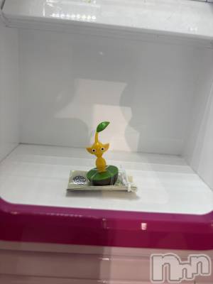 ����������ʥå��������륺�С����饪���ϥ��ܡ���bar���ͻ���(���饪���ϥ��ܡ���С��ӥ��󥷥ޥ�) �Ϥ�ʤ�4��18���̥�֥�����600�ߡ�