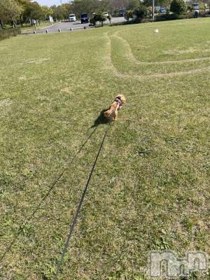 ����������ʥå��������륺�С����饪���ϥ��ܡ���bar���ͻ���(���饪���ϥ��ܡ���С��ӥ��󥷥ޥ�) �Ϥ�ʤ�4��27���̥�֥�����4��27�� 19��53ʬ�Υ֥�����