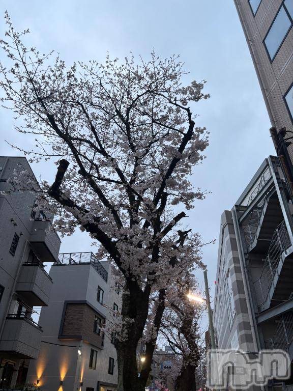 長岡デリヘル純・無垢(ジュンムク) るるな(20)の3月30日写メブログ「出勤！」