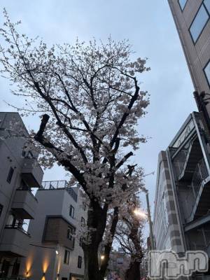 長岡デリヘル 純・無垢(ジュンムク) るるな(20)の3月30日写メブログ「出勤！」