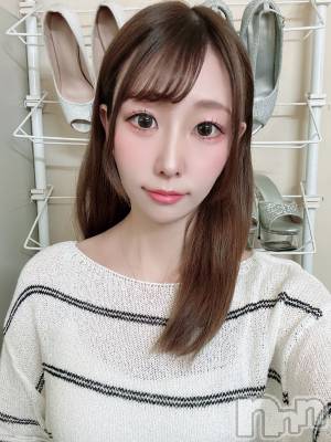 ��Ʋ����Х��顦����֥���ֲڲСݣȣ��Σ��£ɡ�(����֥ϥʥ�) ��ʤ�3��31���̥�֥����֤����