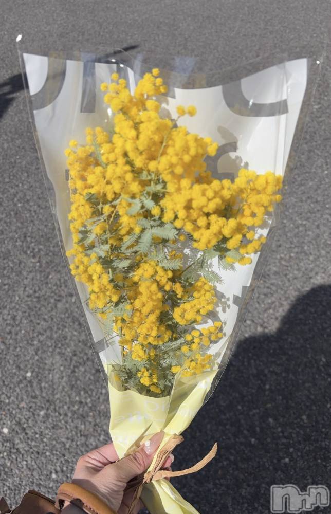 ���ܱ�������Х��顦����֥���� �ץ���� ����(����� �ץ���� �ޥĥ��) ���ޤͤ�3��31���̥�֥�����3��31�� 23��34ʬ�Υ֥�����