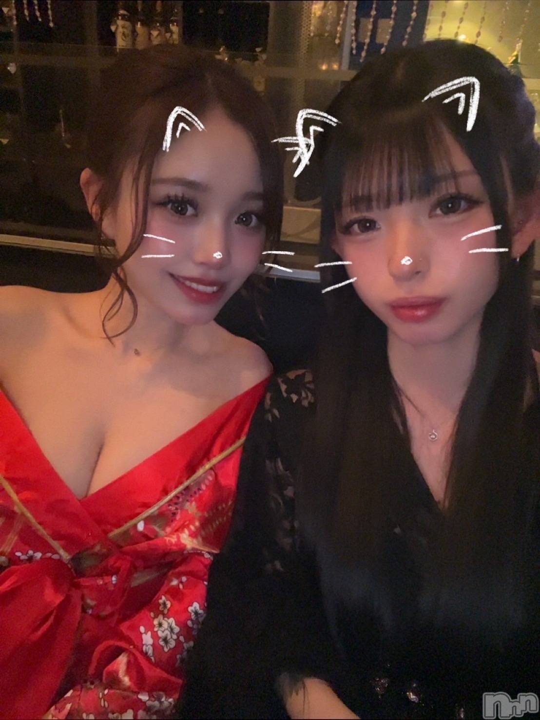 ���ܱ�������Х��顦����֥���� �ץ���� ����(����� �ץ���� �ޥĥ��) ��2026ǯ2��21���̥�֥�����2��21�� 22��11ʬ�Υ֥�����