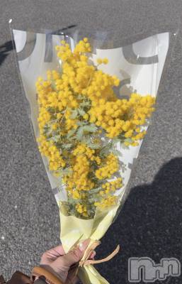 ���ܱ�������Х��顦����֥���� �ץ���� ����(����� �ץ���� �ޥĥ��) ���ޤͤ�3��31���̥�֥�����3��31�� 23��34ʬ�Υ֥�����