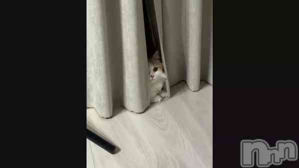 ��4��28�� 22��03ʬ�Υ֥�����