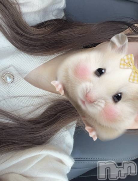 ��Ʋ����Х��顦�����CLUB Monet(����� ���) �� 2026ǯ3��18���̥�֥����������⤢�꤬�Ȥ��������ޤ���✨��