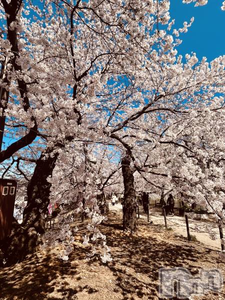 ��Ʋ����Х��顦�����CLUB Monet(����� ���) �� 2026ǯ4��8���̥�֥�����4��8�� 20��27ʬ�Τ�Ź®���