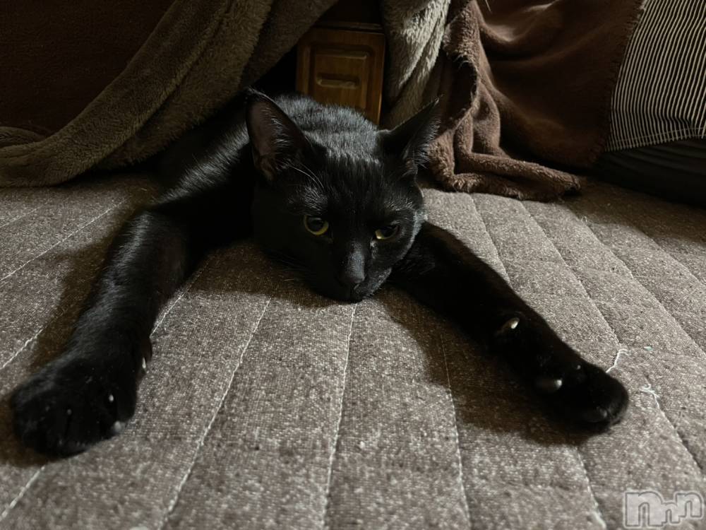 �����������Х��顦����ֽϽ�����Х��� Lips(���奯���祭��Х����åץ�) ��������3��28���̥�֥�����­Ĺ����♡��