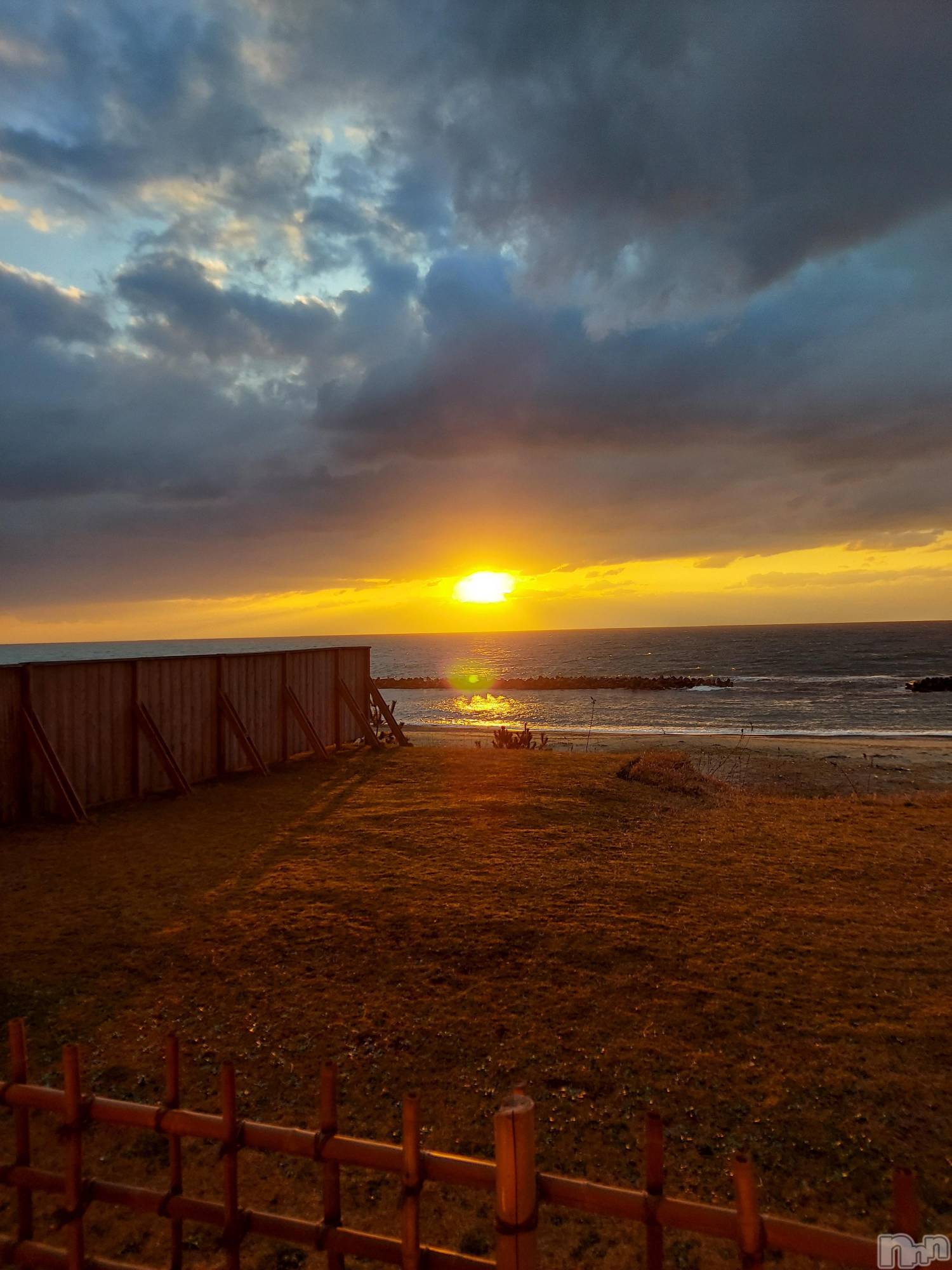 �����������Х��顦����ֽϽ�����Х��� Lips(���奯���祭��Х����åץ�) ��2026ǯ4��14���̥�֥�����ͼ������