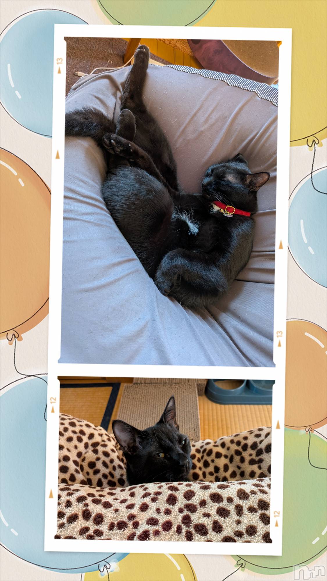 �����������Х��顦����ֽϽ�����Х��� Lips(���奯���祭��Х����åץ�) ��2026ǯ5��29���̥�֥�������������­����😪��