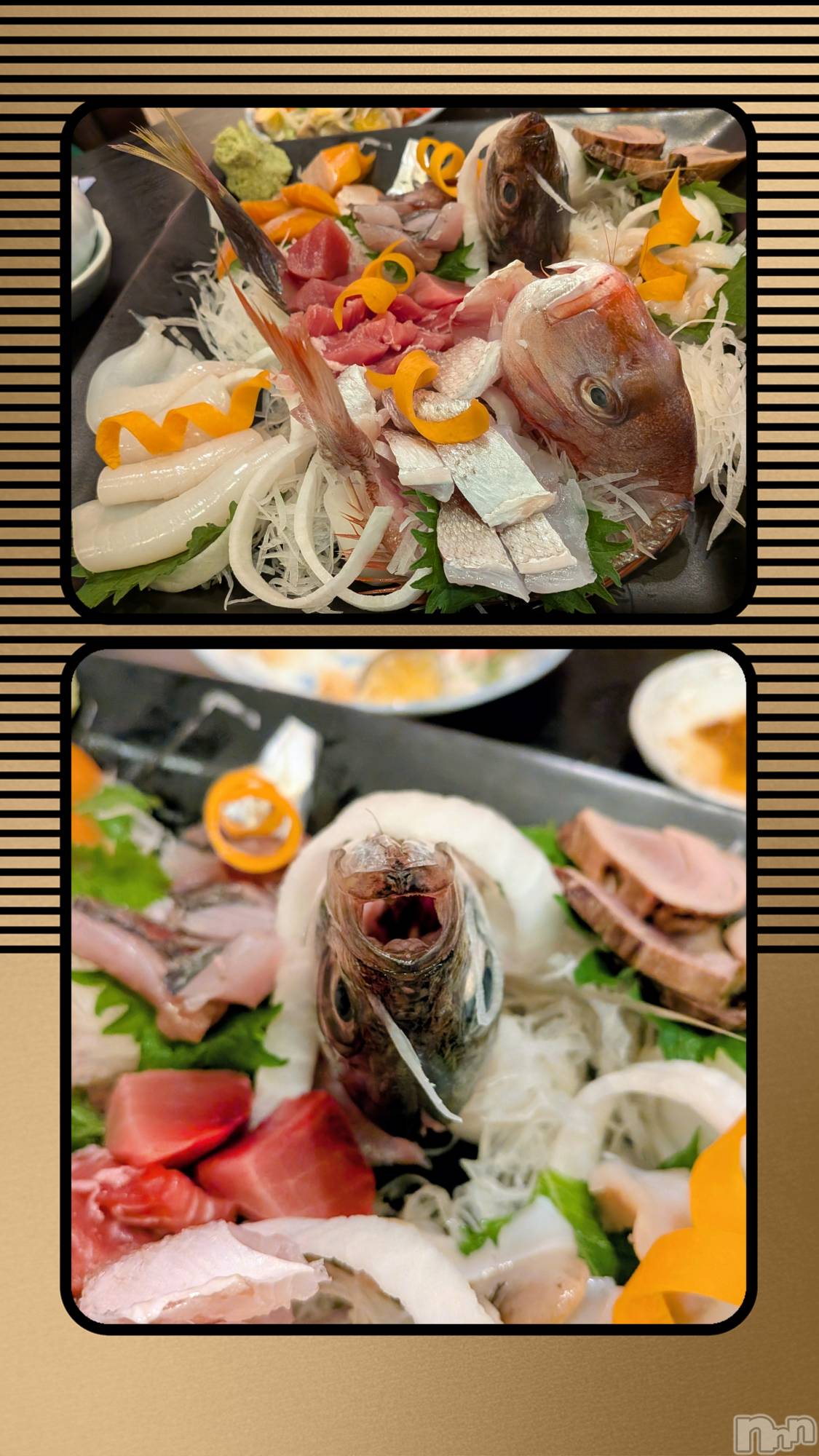�����������Х��顦����ֽϽ�����Х��� Lips(���奯���祭��Х����åץ�) ��2026ǯ8��9���̥�֥����֤������󡣡�