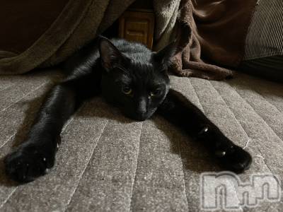 �����������Х��顦����ֽϽ�����Х��� Lips(���奯���祭��Х����åץ�) ��������3��28���̥�֥�����­Ĺ����♡��