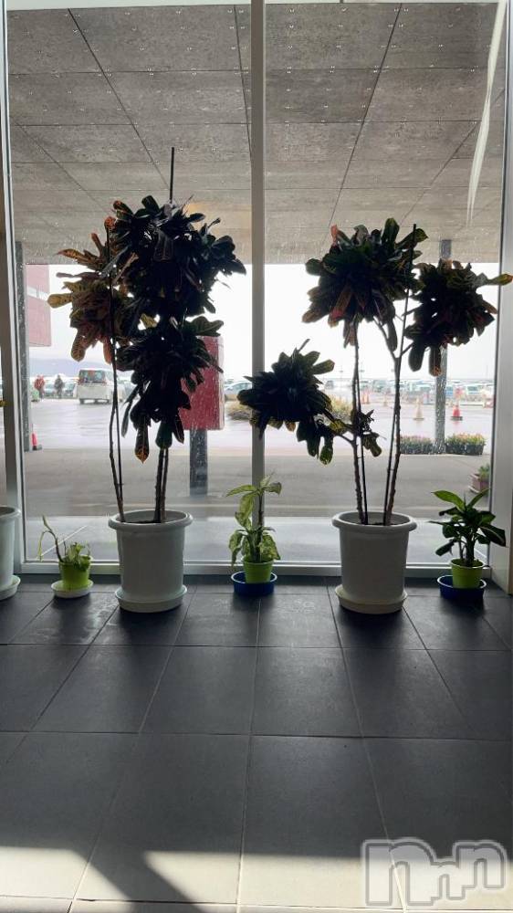 長岡デリヘル長岡市総合デリヘル COLOR～デリヘル・手コキ・密着エステ～(ナガオカシソウゴウデリヘルカラー) 新人れん☆☆☆(22)の3月9日写メブログ「退院しました^ - ^」