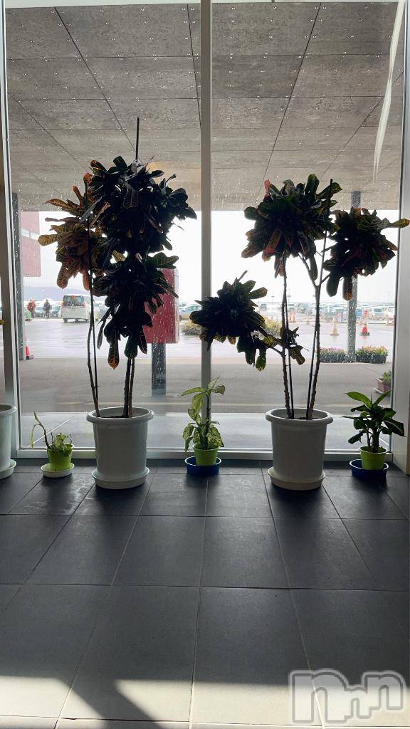 長岡デリヘル長岡市総合デリヘル COLOR～デリヘル・手コキ・密着エステ～(ナガオカシソウゴウデリヘルカラー)新人れん☆☆☆(22)の2026年3月9日写メブログ「退院しました^ - ^」