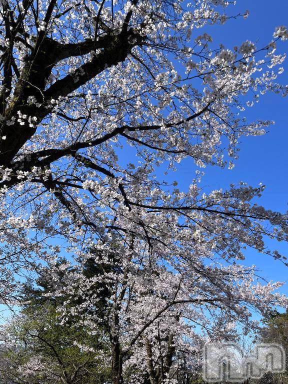 長岡デリヘル長岡市総合デリヘル COLOR～デリヘル・手コキ・密着エステ～(ナガオカシソウゴウデリヘルカラー)新人れん☆☆☆(22)の2026年4月12日写メブログ「悠久山にお散歩🐾」