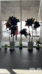 長岡デリヘル長岡市総合デリヘル COLOR～デリヘル・手コキ・密着エステ～(ナガオカシソウゴウデリヘルカラー) 新人れん☆☆☆(22)の3月9日写メブログ「退院しました^ - ^」