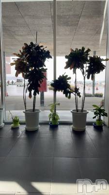 退院しました^ - ^