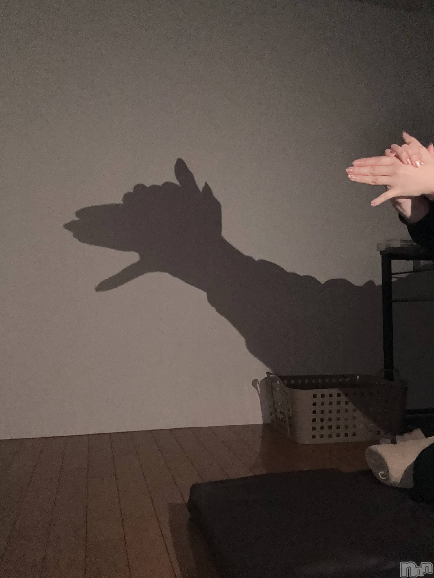 新潟メンズエステAMBER～アンバー～(アンバー)愛内　ひな(25)の2026年3月10日写メブログ「21:00までｱｳｩｰﾝ🐺🤍」