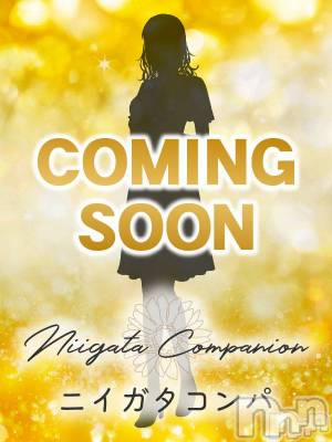 �Τ�(�ҥߥ�) ��Ĺ�ҥߥġ�����ȯ����ѥ˥��󥯥�� ���㥳��� -���㥳��ѥ˥��󥯥��-(�˥���������� -�˥���������ѥ˥��󥯥��-)���ҡ�