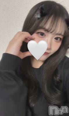 �Τ�(�ҥߥ�) ��Ĺ�ҥߥġ�����ȯ����ѥ˥��󥯥�� ���㥳��� -���㥳��ѥ˥��󥯥��-(�˥���������� -�˥���������ѥ˥��󥯥��-)���ҡ�