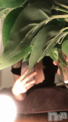 新潟メンズエステ Tiramisu(ティラミス) れん(34)の2月8日写メブログ「出勤しました😊」