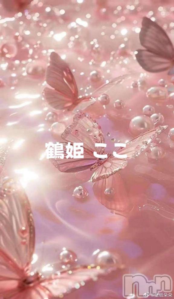 上越デリヘルRICHARD（リシャール）(リシャール)鶴姫ここ(21)の2026年2月3日写メブログ「ここ明日に備えて寝ますっ❕」