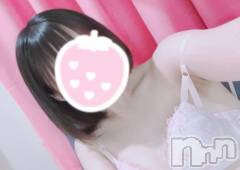 新潟デリヘルSecret Love(シークレットラブ) 【体験】いちご☆正統派アイドル系(19)の2月1日写メブログ「慣れてきたかな？？？」