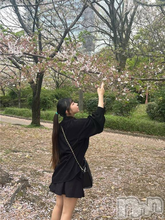 上越デリヘルBLUE BIRD上越店(ブルーバード上越店)きい(20)の2026年4月3日写メブログ「🌸」