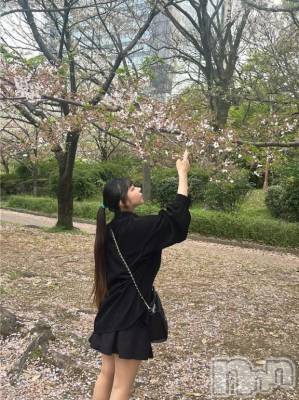 上越デリヘル BLUE BIRD上越店(ブルーバード上越店) きい(20)の4月3日写メブログ「🌸」