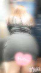 新潟デリヘル奥様特急 新潟店(オクサマトッキュウニイガタテン) れいか(20)の2月19日写メブログ「もう少し🥺」