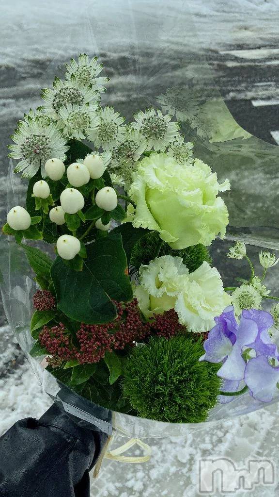 新潟デリヘル新潟デリヘル倶楽部(ニイガタデリヘルクラブ)ましろ(24)の2026年2月13日写メブログ「しゅっきん🐱」