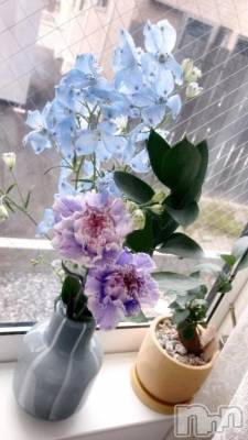 新潟デリヘル 新潟デリヘル倶楽部(ニイガタデリヘルクラブ) ましろ(24)の2月14日写メブログ「🐱」