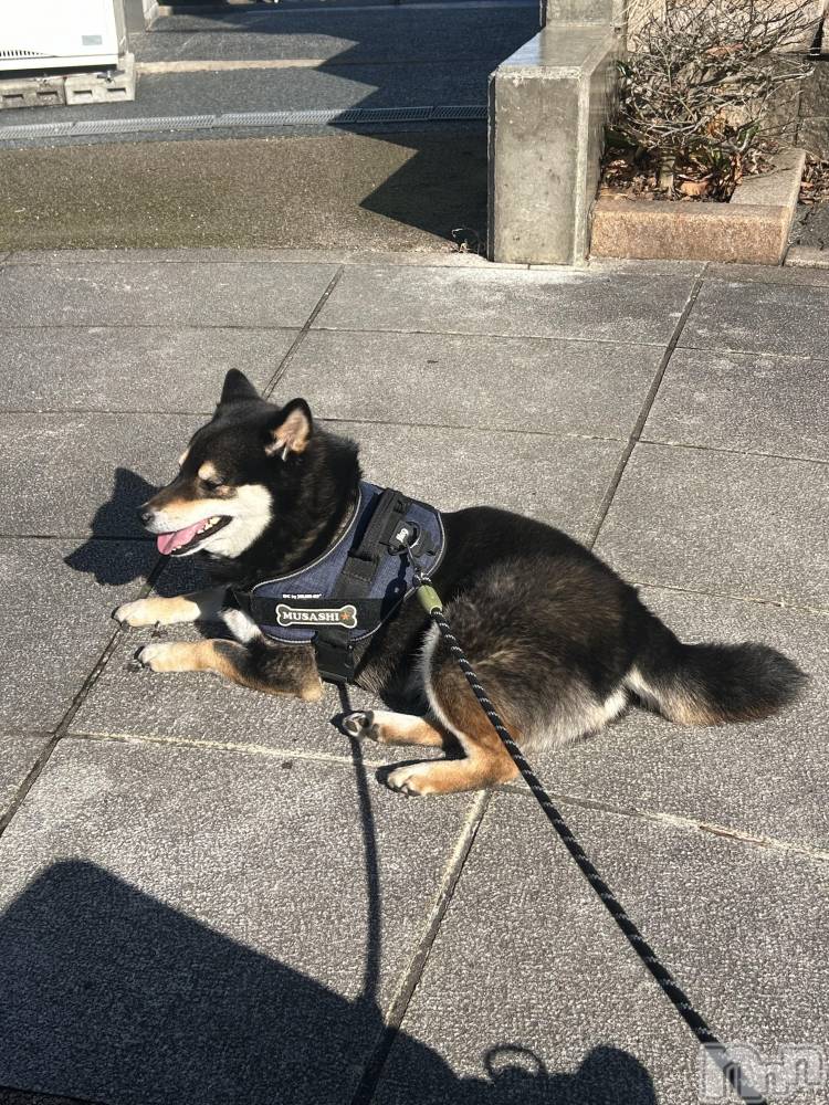 ����������ʥå��������륺�С����饪���ϥ��ܡ���bar���ͻ���(���饪���ϥ��ܡ���С��ӥ��󥷥ޥ�) ��������2��26���̥�֥�����2��26�� 19��58ʬ�Υ֥�����