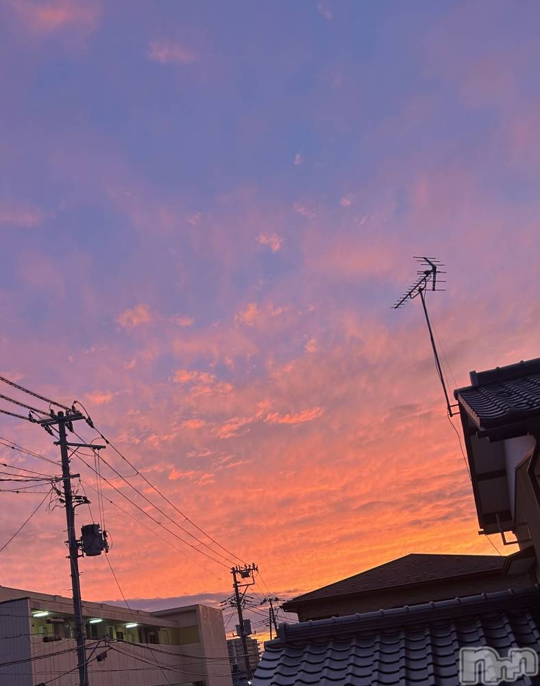 ����������ʥå��������륺�С����饪���ϥ��ܡ���bar���ͻ���(���饪���ϥ��ܡ���С��ӥ��󥷥ޥ�) ��������3��1���̥�֥�����ͼ�Ƥ�🌆��