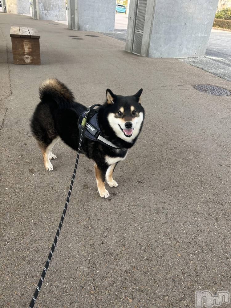 ����������ʥå��������륺�С����饪���ϥ��ܡ���bar���ͻ���(���饪���ϥ��ܡ���С��ӥ��󥷥ޥ�) ��������3��15���̥�֥�����3��15�� 16��32ʬ�Υ֥�����