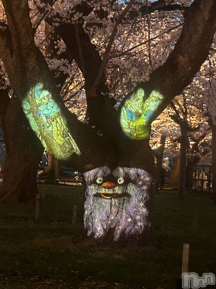 ����������ʥå��������륺�С����饪���ϥ��ܡ���bar���ͻ���(���饪���ϥ��ܡ���С��ӥ��󥷥ޥ�) ��������4��14���̥�֥�����4��14�� 18��01ʬ�Υ֥�����