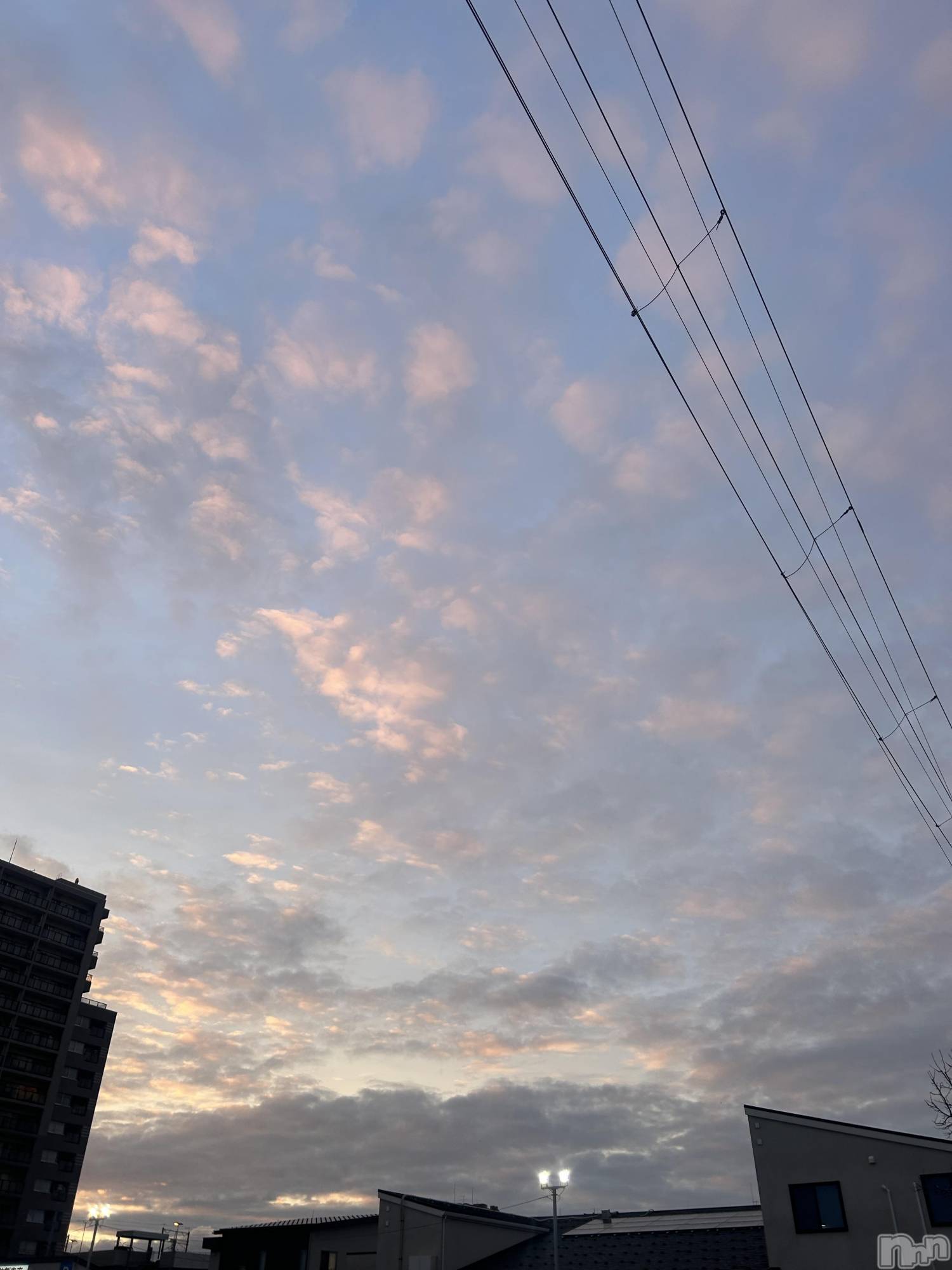 ����������ʥå��������륺�С����饪���ϥ��ܡ���bar���ͻ���(���饪���ϥ��ܡ���С��ӥ��󥷥ޥ�) ��2026ǯ2��27���̥�֥�����2��27�� 18��35ʬ�Υ֥�����