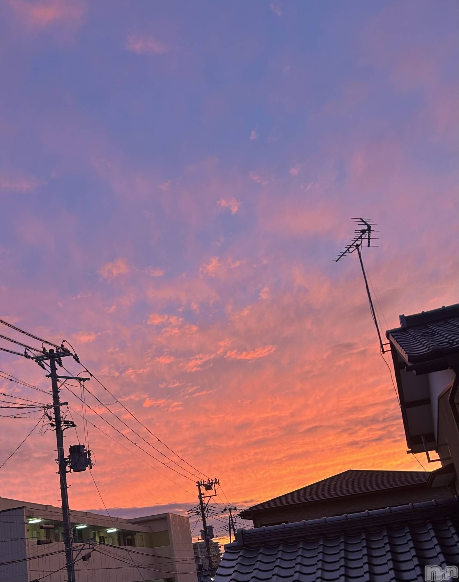 ����������ʥå��������륺�С����饪���ϥ��ܡ���bar���ͻ���(���饪���ϥ��ܡ���С��ӥ��󥷥ޥ�) ��2026ǯ3��1���̥�֥�����ͼ�Ƥ�🌆��